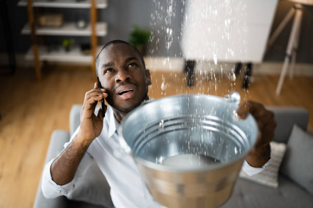 Best Professional water damage repair  in Jefferson City, MO