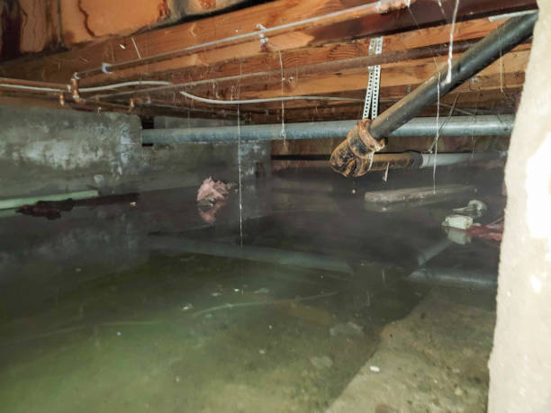 Best 24-hour water damage restoration  in Jefferson City, MO