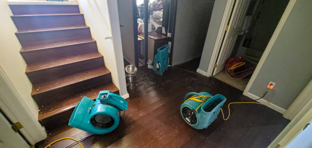 Best Sewage cleanup and water damage restoration  in Jefferson City, MO
