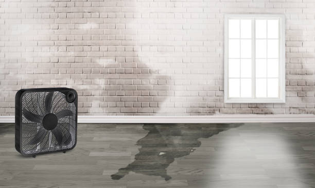 Best Commercial water damage restoration  in Jefferson City, MO