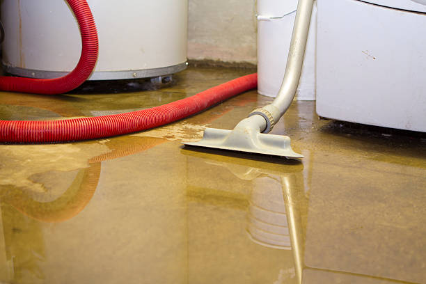 Best Basement water damage restoration  in Jefferson City, MO