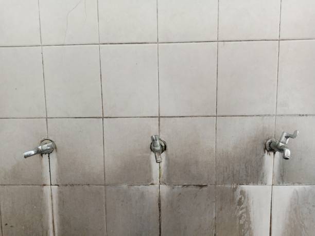 Best Flood damage cleanup  in Jefferson City, MO