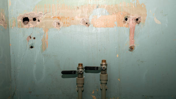 Best Mold removal after water damage  in Jefferson City, MO